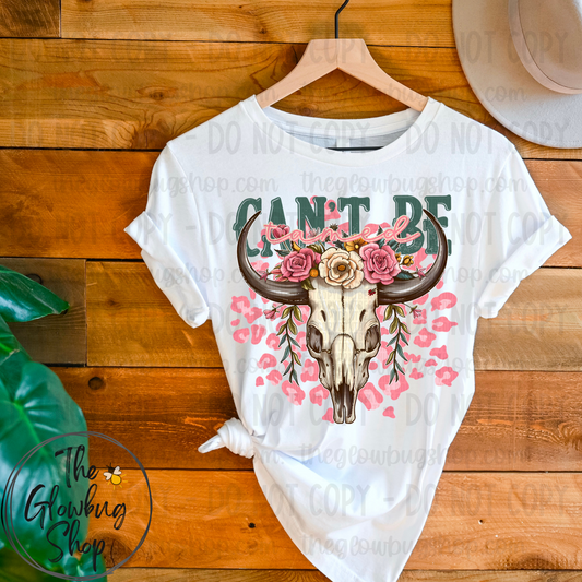 Can’t Be Tamed (longhorn)