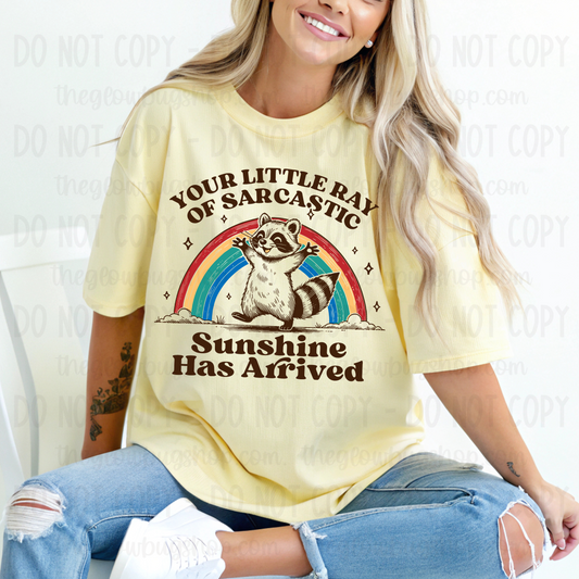 Little Ray Of Sarcastic Sunshine